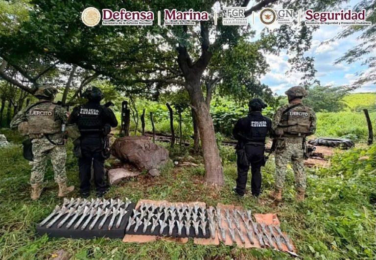Realizan decomisos en Concordia, Culiacán y Mazatlán