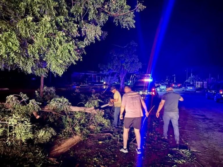 Deja tormenta sin luz a Guamúchil