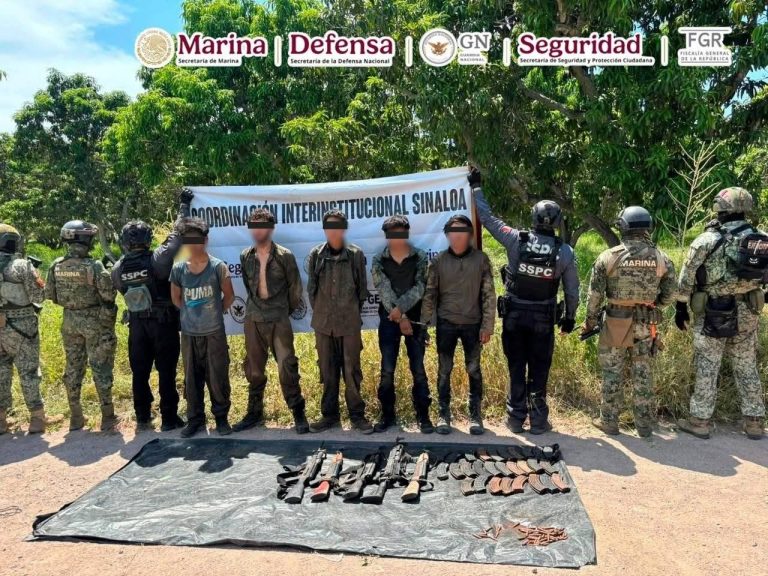 Decomisan 11 autos, 33 armas largas y un campamento