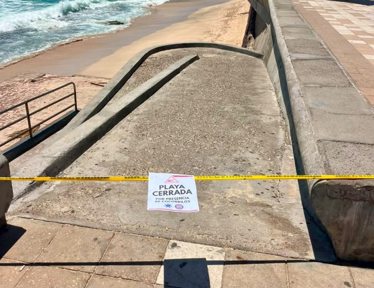 Mantiene Mazatlán alerta en playas por presencia de cocodrilo