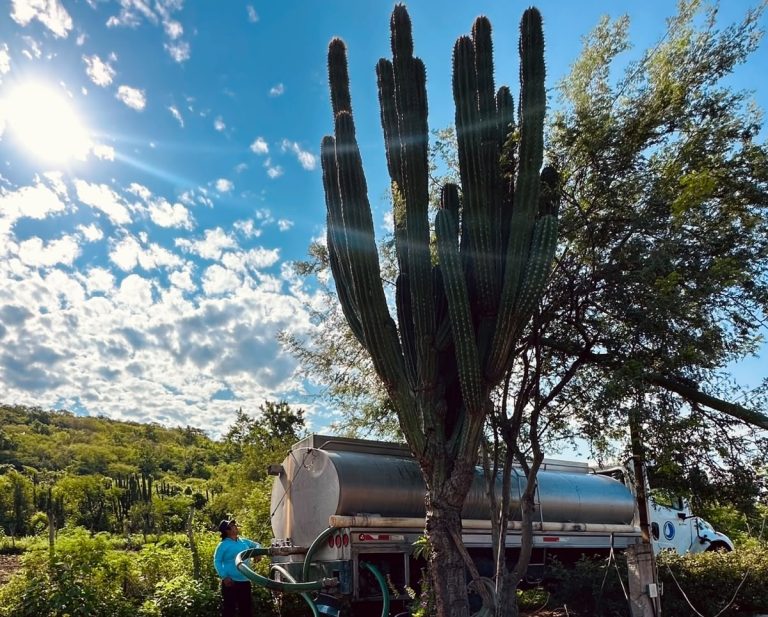 Bajan 50% pueblos afectados por sequía en Culiacán