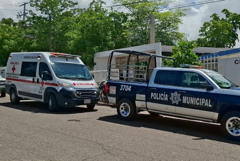 Ataca enjambre a alumnos en primaria de Culiacán; 6 heridos