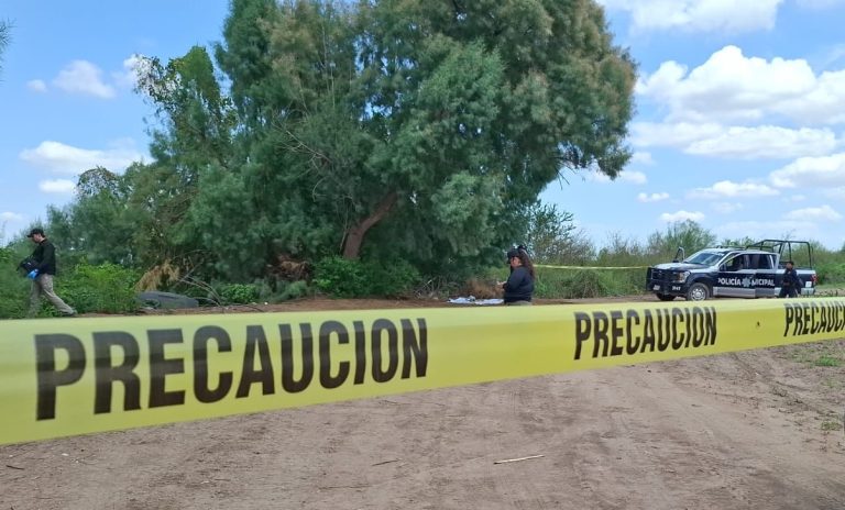 Hallan restos humanos en una parcela cerca de la carretera Navolato–El Castillo