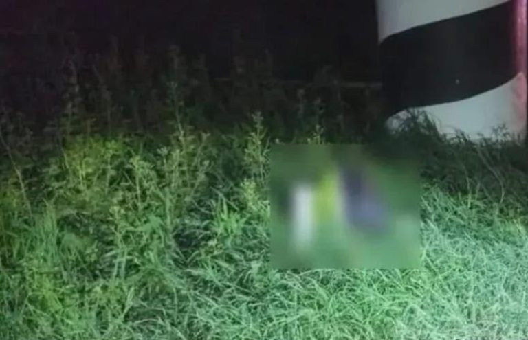 Hallan cabeza humana debajo de un puente