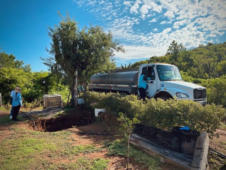 Baja sequía en la sierra de Culiacán
