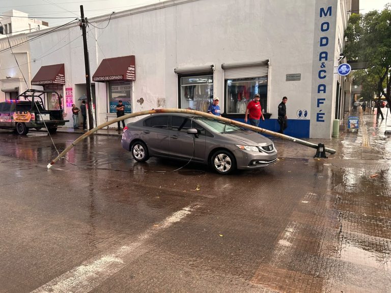 Dejan lluvias árboles caídos en Culiacán