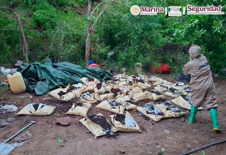 Incautan laboratorio clandestino en Sinaloa
