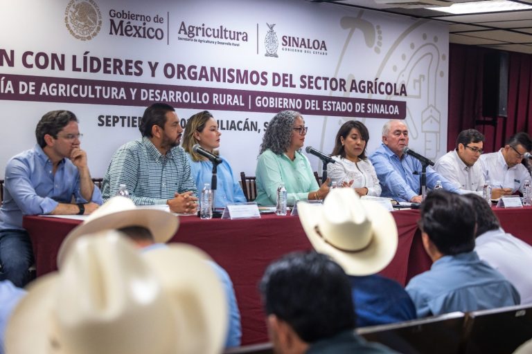 Plantean recuperar la cadena productiva del maíz para mejorar el precio