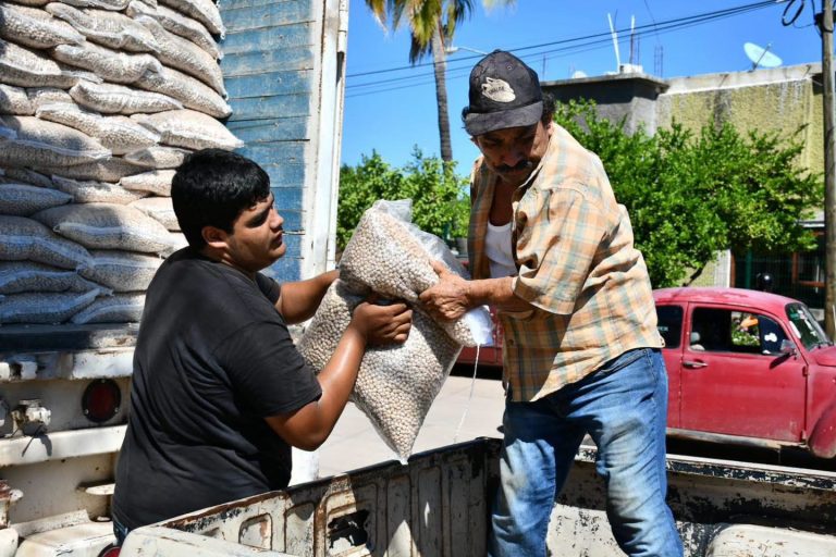 Consideran factible siembra de temporal en la sierra